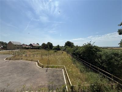 Picture 22